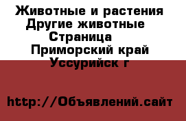 Животные и растения Другие животные - Страница 2 . Приморский край,Уссурийск г.